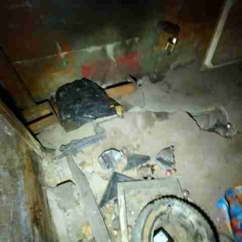 8031 conger (74).jpg